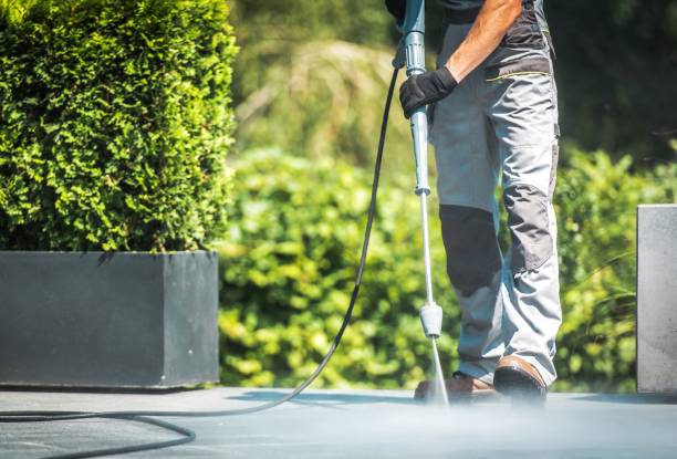 Best Driveway Pressure Washing  in Duncan Falls, OH
